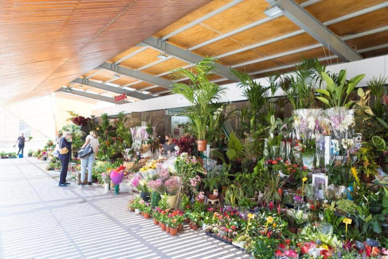 Moonkey - Apartamento El Mercado Alicante Luaran gambar